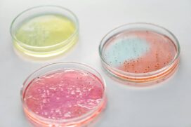 Ela e dois primos foram contaminados por uma bactéria conhecida por corroer a carne humana