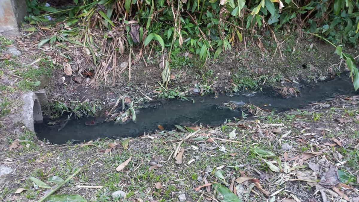 Com aproximadamente cinco mil moradores, o bairro é um dos poucos de toda a Baixada Santista que não possui tratamento de esgoto (Carlos Salles/Reprodução)