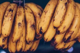 Nutricionistas ressaltam que o consumo da fruta em jejum pode intensificar os efeitos indesejados