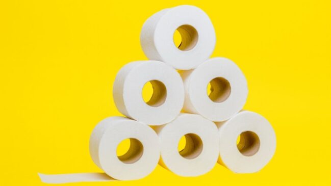 O segredo está no alto poder de absorção do papel, capaz de capturar partículas responsáveis por odores desagradáveis e também por excesso de umidade no interior do eletrodoméstico