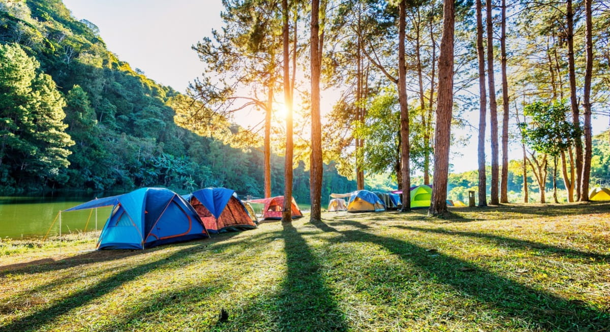 A fazenda oferece áreas arborizadas com energia elétrica e água, banheiros com chuveiros quentes, cozinha comunitária, quiosques e churrasqueiras para locação