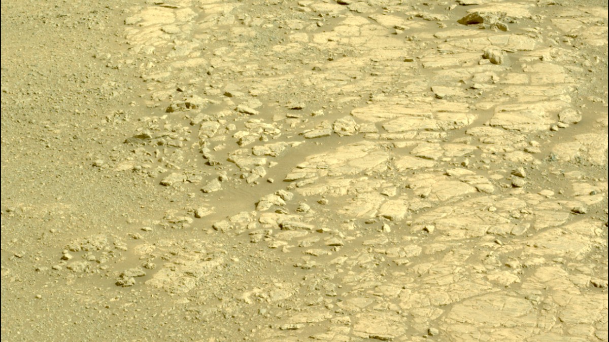 O planeta tem estações, calotas polares, vulcões extintos, cânions e clima / NASA/JPL-Caltech