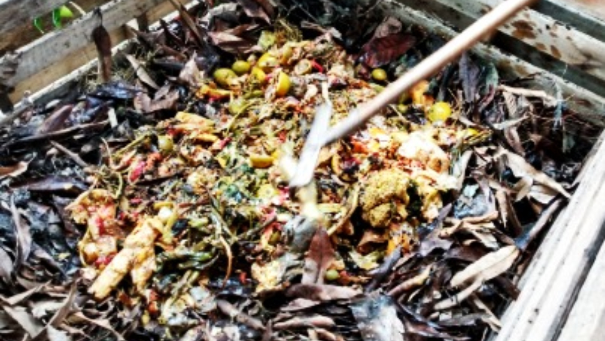 O projeto já realiza atividades há três anos, tendo trabalhado anteriormente com compostagem e hortas comunitárias / Divulgação