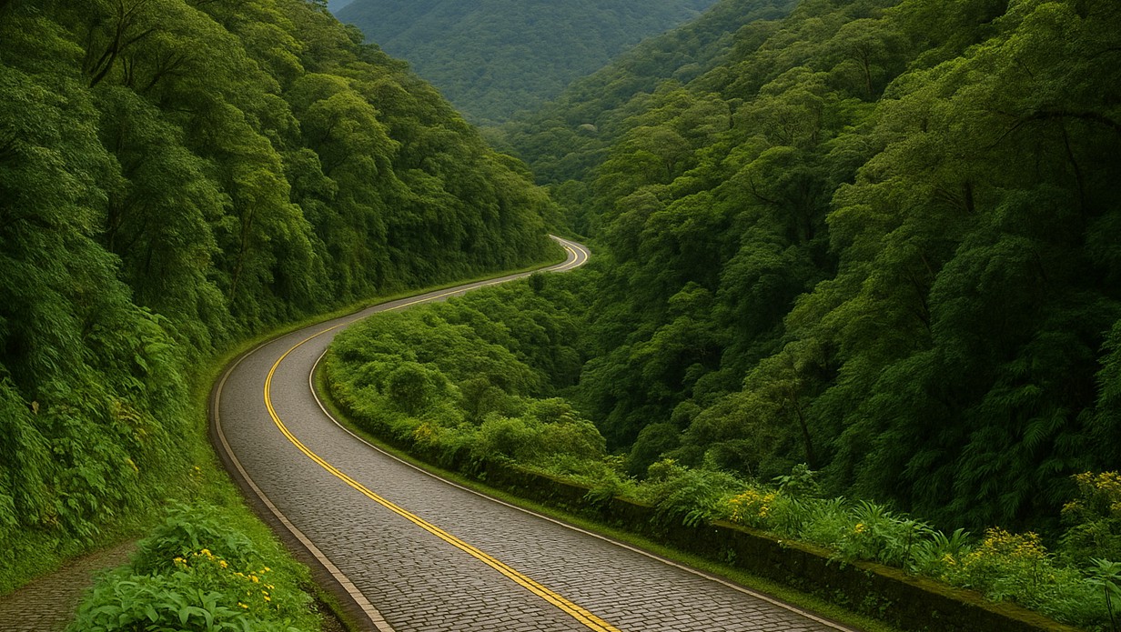 A lendária Estrada da Graciosa e sua beleza ímpar
