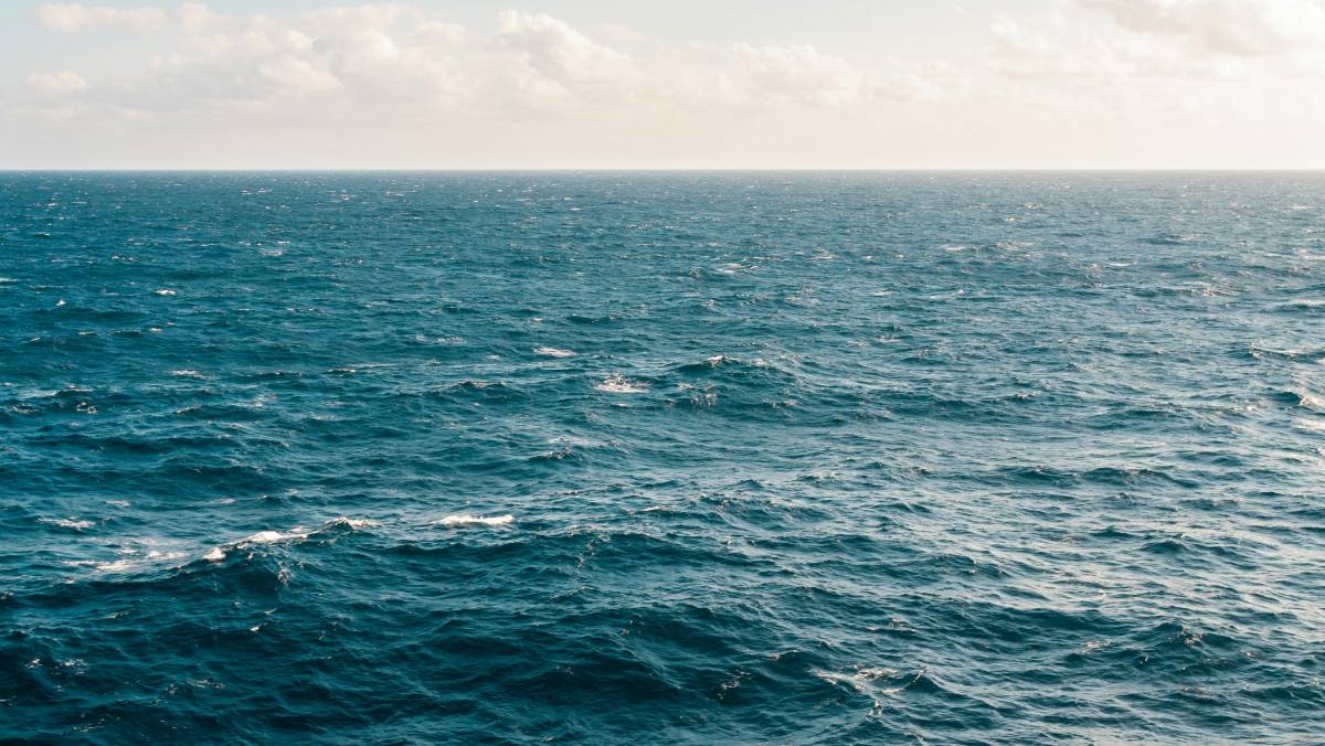 O sargaço faz parte do ecossistema natural do Atlântico, mas sua proliferação em excesso gera desafios de grande escala