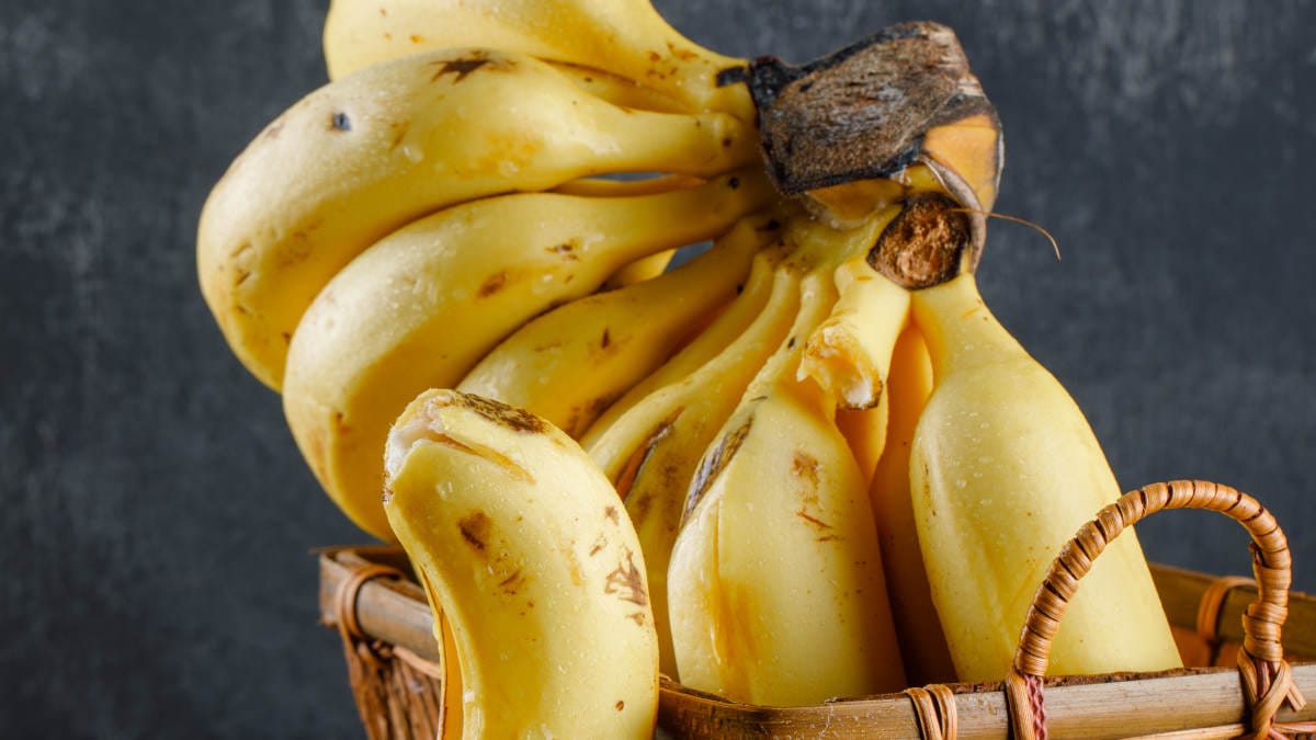 Este cenário é especialmente preocupante para o Brasil, o quarto maior produtor de bananas do mundo