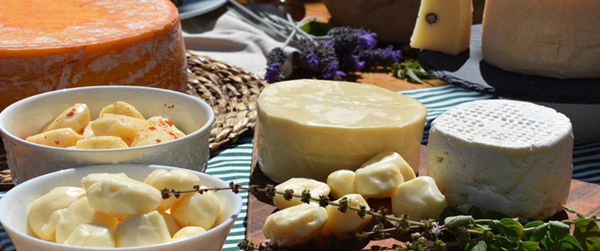 Dos dez queijos premiados com medalha de ouro, quatro são paulistas