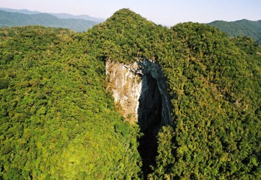 Reconhecido pela UNESCO como patrimônio da humanidade, o parque é considerado um verdadeiro santuário da Mata Atlântica