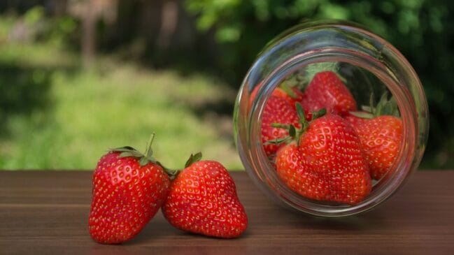 O morango é um ingrediente versátil na culinária / Pixabay