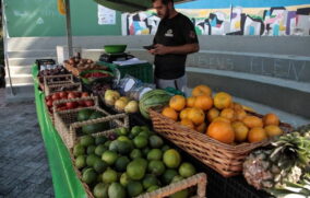 As feiras orgânicas de Santos já são tradição há 14 anos, reunindo feirantes e consumidores em torno de hábitos alimentares mais saudáveis
