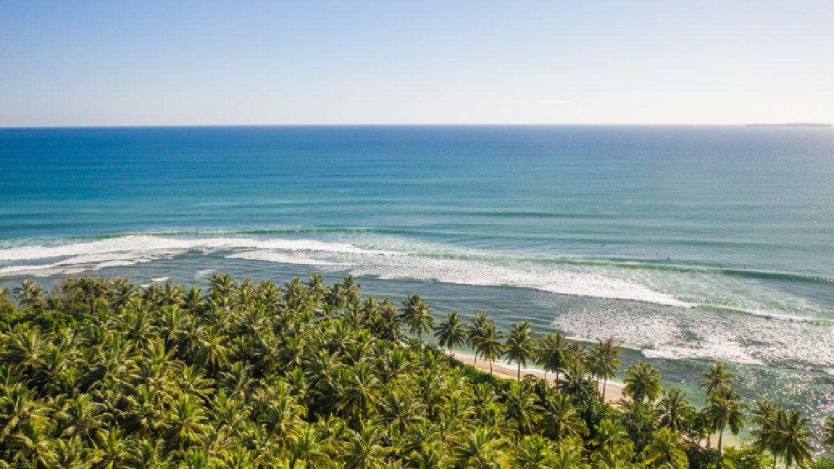 Canoagem, observação de pássaros e banho de cachoeira estão na lista de atividades para escapar do previsível
