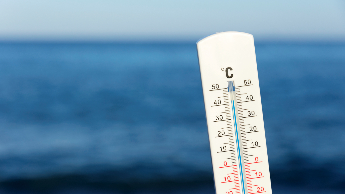 Essa nova realidade ameaça tanto a biodiversidade marinha quanto atividades humanas