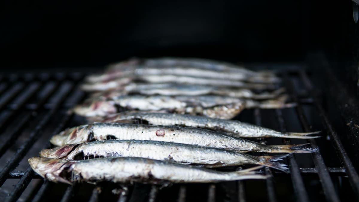 Esse peixe deve ser incluído nas refeições mais de uma vez por semana, segundo nutricionistas (Elle Hughes/Pexels)