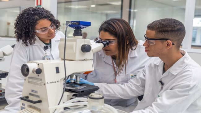 A Petrobras ainda conta com uma parceria com o SENAI para realização de 30 cursos profissionalizantes
