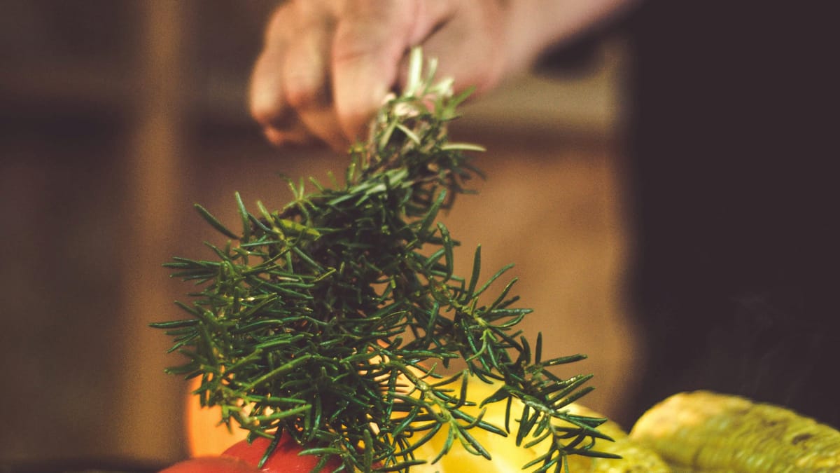 Seu aroma é conhecido por estimular os sentidos, melhorar a concentração e a memória