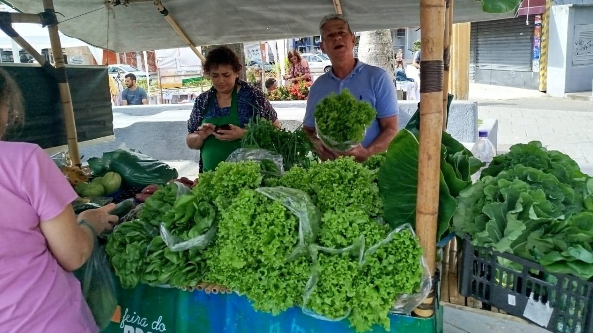 Hortaliças fresquinhas direto da agricultura familiar para a mesa dos consumidores / Divulgação