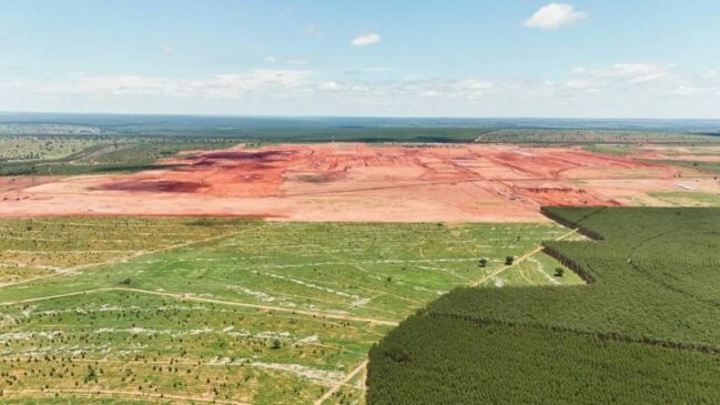 O Projeto Sucuriú pretende inserir o município de Inocência no chamado "Vale da Celulose"