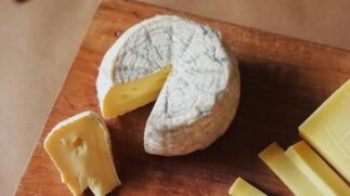 Produtores brasileiros levaram medalhas de ouro, prata e bronze em diferentes categorias no Mondial du Fromage et des Produits Laitiers