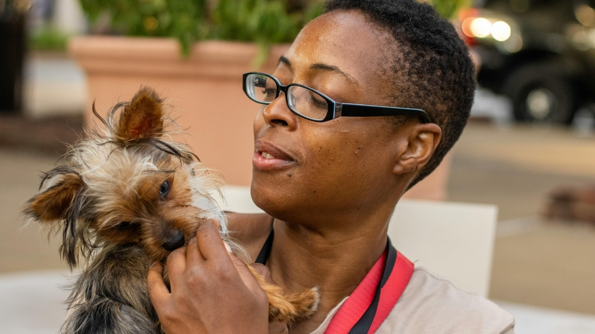 A interação entre animais e pets é cada vez mais intensa / Pexels