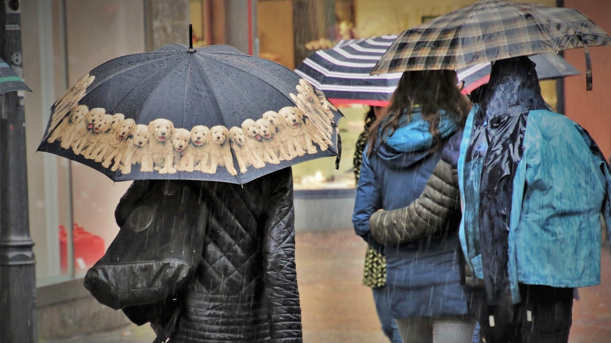 A proposta inclui, no mínimo, 20 pontos de empréstimo espalhados pela cidade