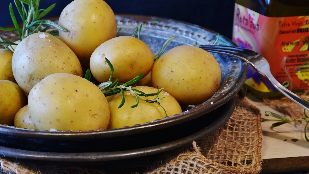 O ideal é colocar a batata na geladeira assim que terminar de cozinhar, segundo especialistas / Pixabay