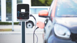 Expectativa é que as vendas aumentem em 2025