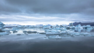 Essa descoberta abre uma janela para um passado natural da Antártica