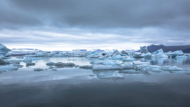 Essa descoberta abre uma janela para um passado natural da Antártica