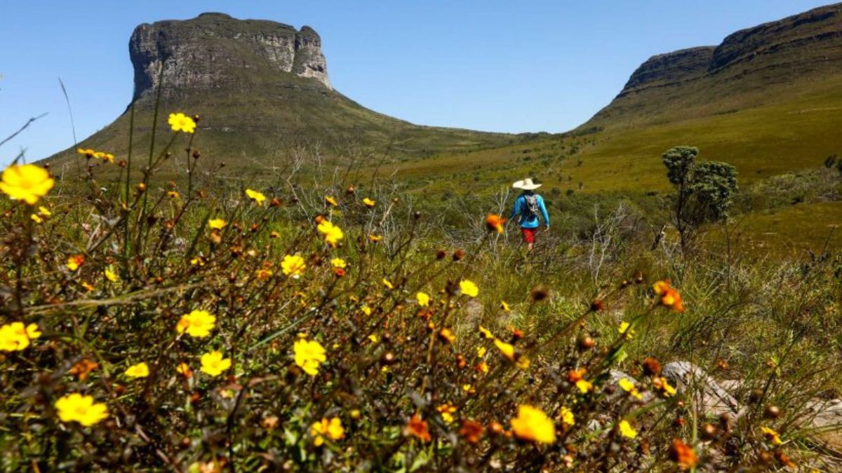 Visitantes aproveitam o turismo sustentável no parque nacional /melhoresdestinos