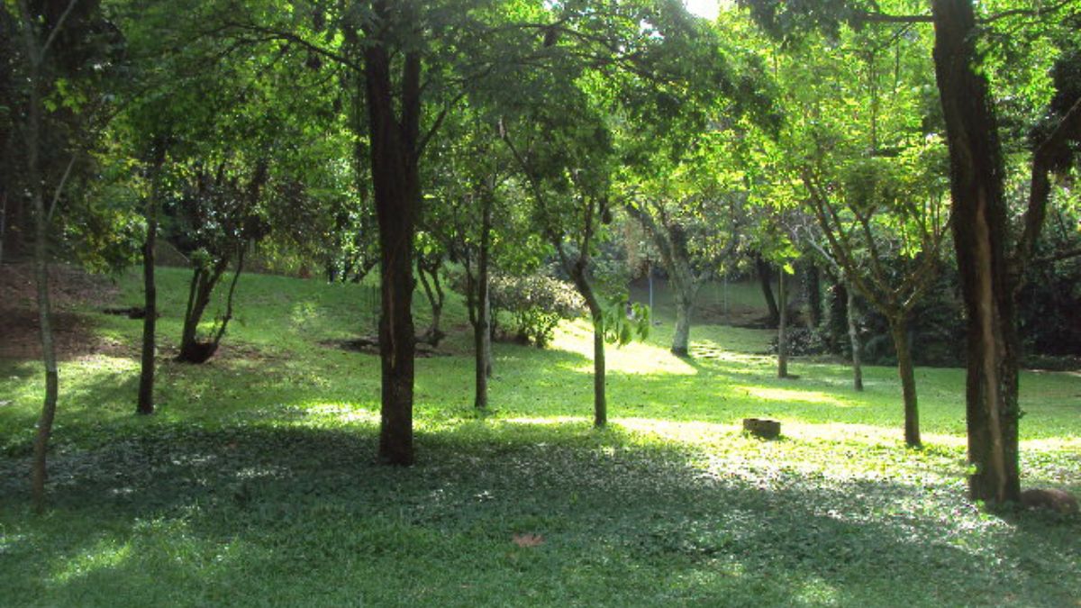 O Parque Guinle tem grande semelhança com as superquadras do Plano Piloto de Brasília/Wikipédia/Eduardo P.