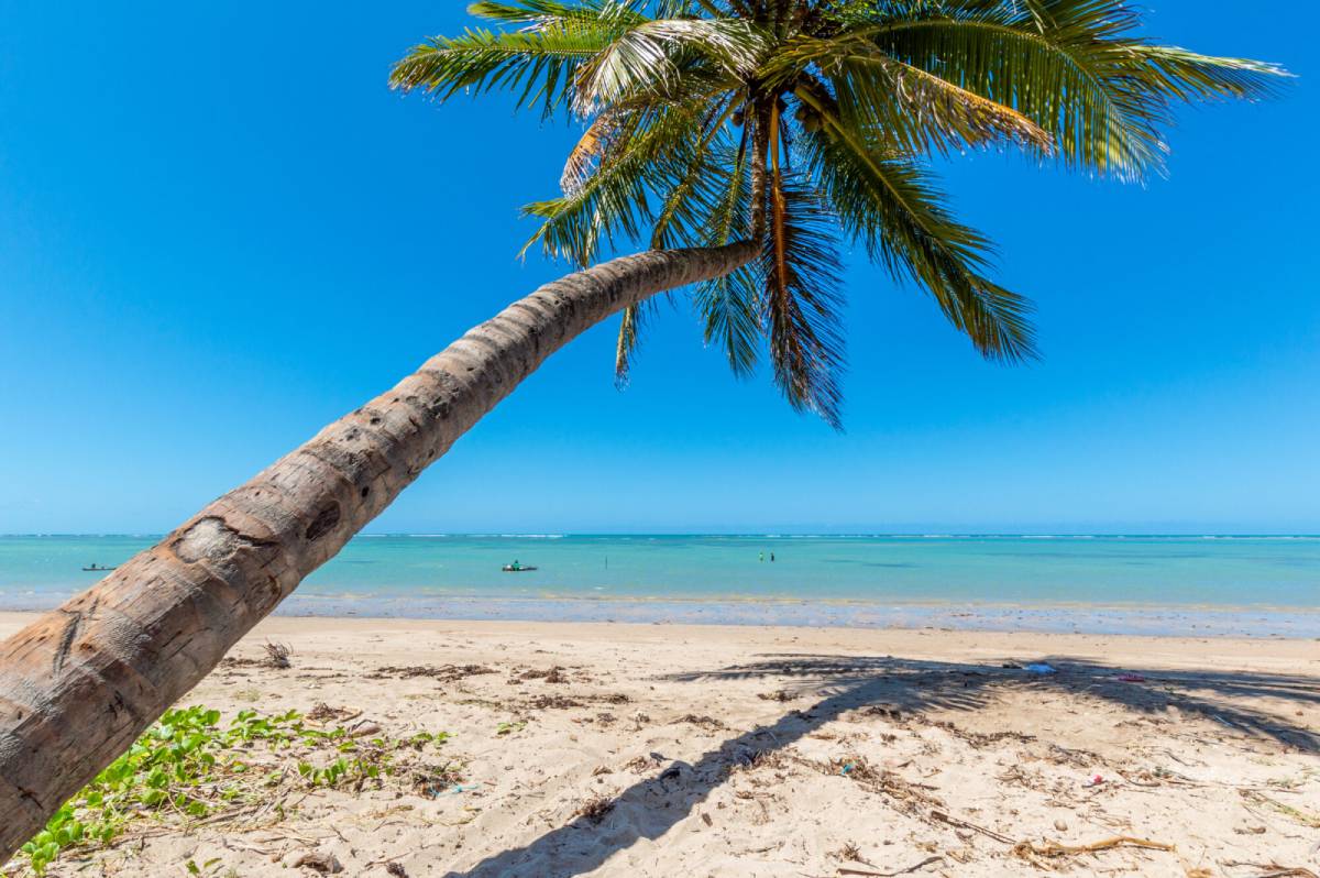 Praia do Patacho, Porto de Pedras, em Alagoas também foi citada/Reprodução - Bandeira Azul