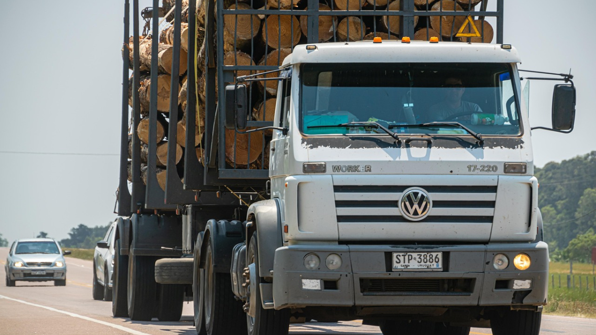 Ao contrário da Baixada, outros municípios tiveram recordes