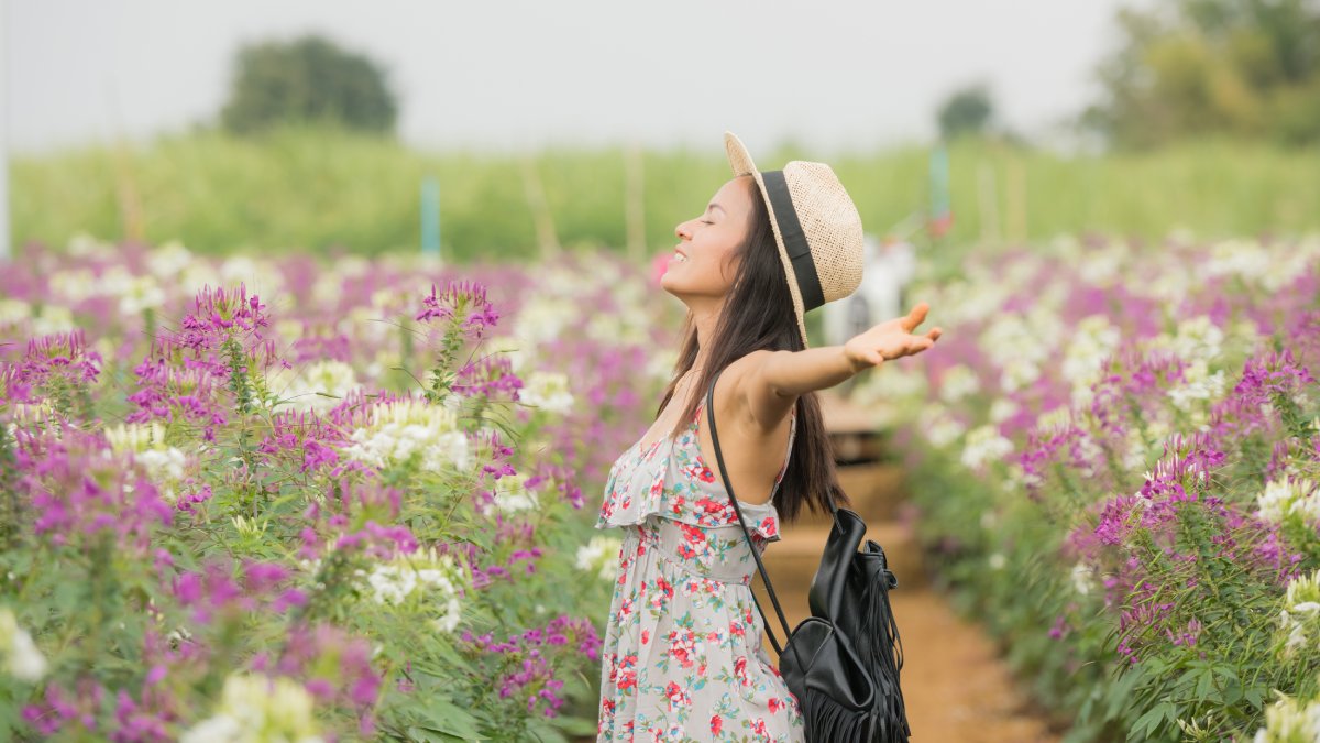 Descubra quem vai sentir a força da primavera transformando o destino