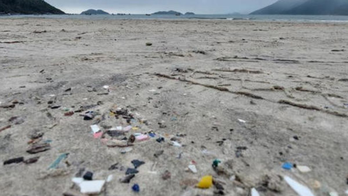 Microplásticos contaminam a maioria das praias brasileiras, aponta estudo2