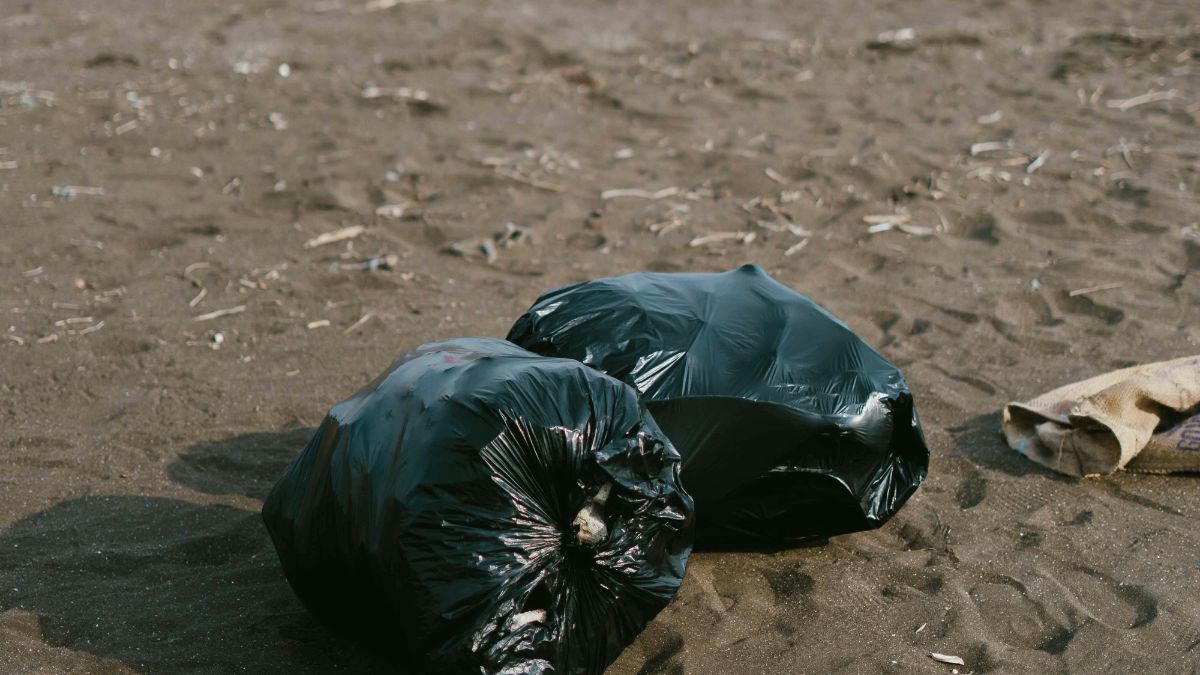 Risco ecológico: microplásticos ingeridos por peixes podem afetar toda a cadeia alimentar e acumular metais pesados e pesticidas. / Pexels