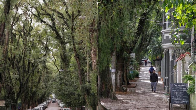 No coração de Porto Alegre (RS), a Rua Gonçalo de Carvalho surpreende visitantes com sua paisagem urbana única.