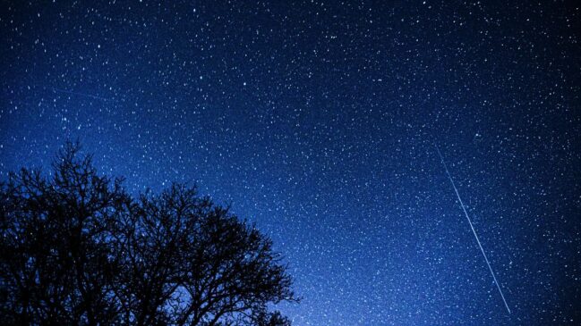 A observação é ideal da meia-noite ao amanhecer, em locais escuros e afastados da poluição luminosa