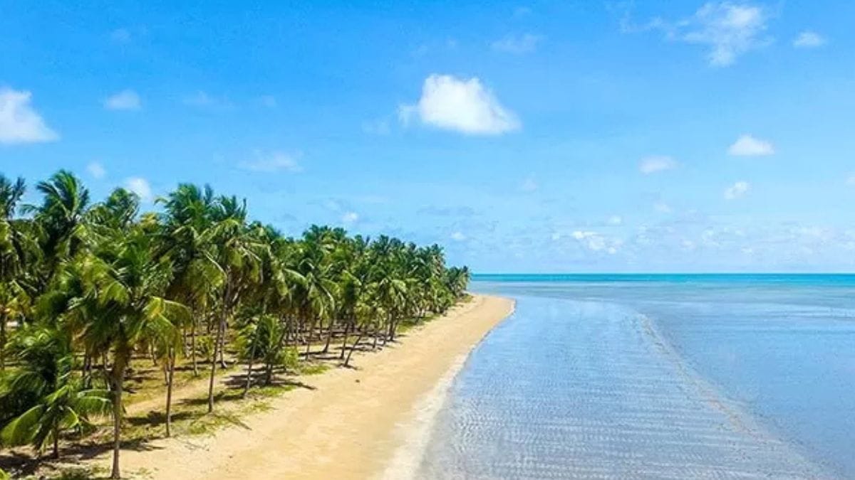 Japaratinga, Alagoas /Paraisodoscoqueirais