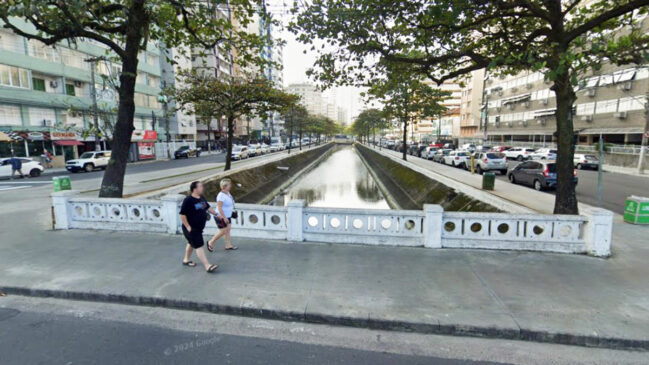A pesquisa analisou 56 exemplares coletados entre março de 2022 e março de 2023