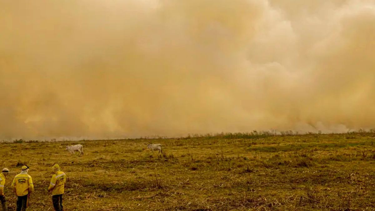 Mortes ligadas ao calor e à fumaça das queimadas disparam em todo o mundo