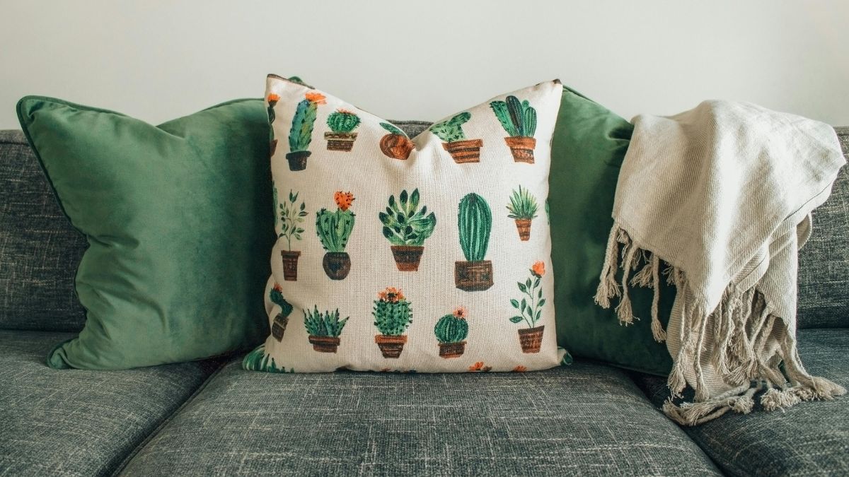Milhares de bactérias se concentram no sofá (Designecologist/Pexels)