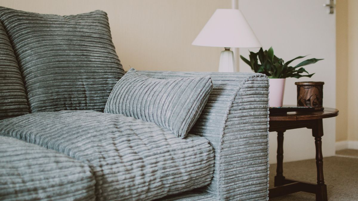 Essa proliferação que acontece no sofá, consegue ser maior que a de uma simples esponja de lavar louça (Lisa from Pexels/Pexels)