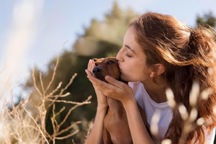 Carinhos em cães ajudam a reduzir o estresse, equilibrar a frequência cardíaca e diminuir a pressão arterial