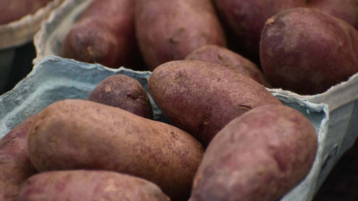 Prática e nutritiva, a batata-doce é rica em potássio e ajuda na reposição de energia após os treinos/ wr heustis/Pexel