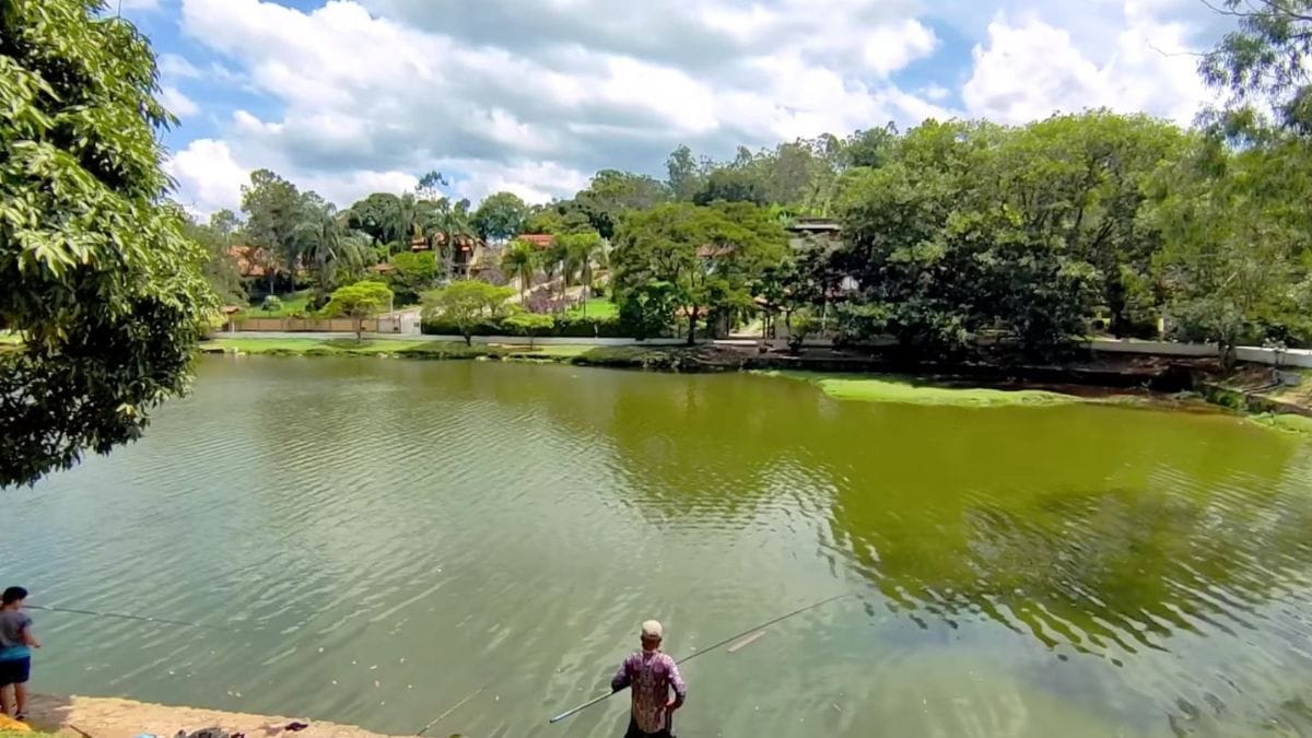 O lago é um dos locais mais procurados para tirar fotos e curtir o ar livre