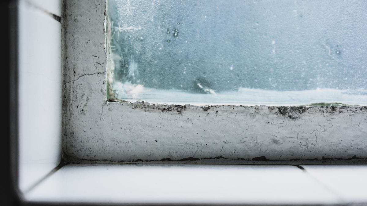 A diferença de temperatura entre o interior e o exterior da casa pode causar condensação e mofo nas janelas/ wirestock/Freepik