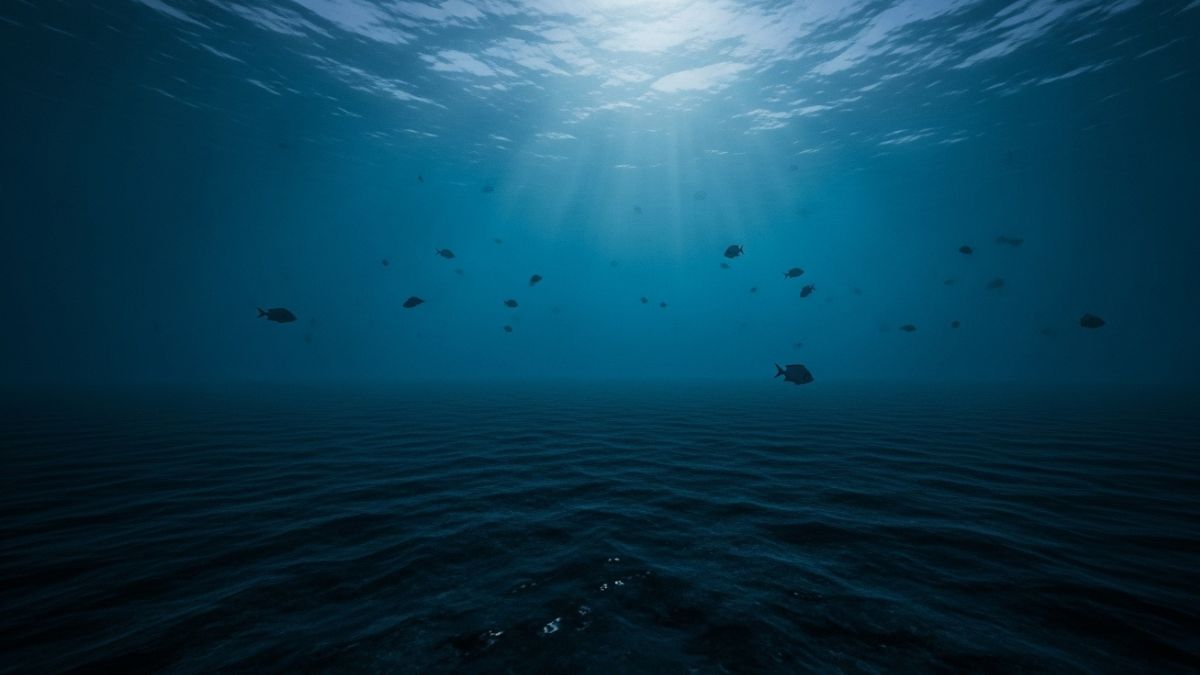 Ondas sonoras enviadas de um navio foram captadas por sensores subaquáticos e revelaram fraturas profundas de até cinco quilômetros