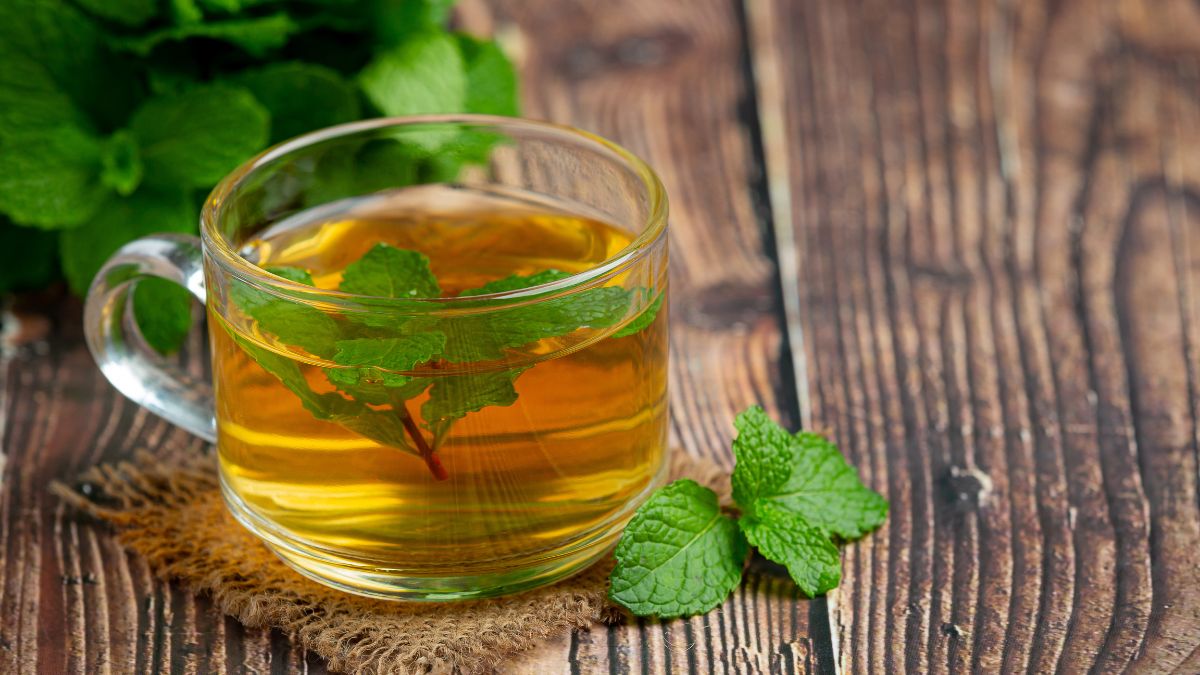 O chá verde, conhecido por suas propriedades antioxidantes, é um ótimo aliado na redução de gordura no fígado e no estímulo ao metabolismo, sendo recomendado o consumo diário para obter resultados consistentes / jcomp/freepik