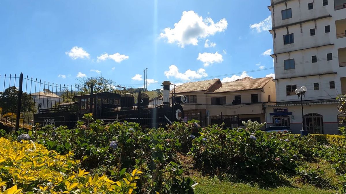 Maria da Fé é também sede da EPAMIG, que lidera a produção de mudas de oliveira no país e realiza pesquisas voltadas à melhoria do cultivo e do azeite nacional