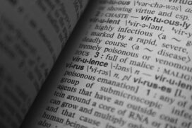Autor se tornou referência na Língua Portuguesa